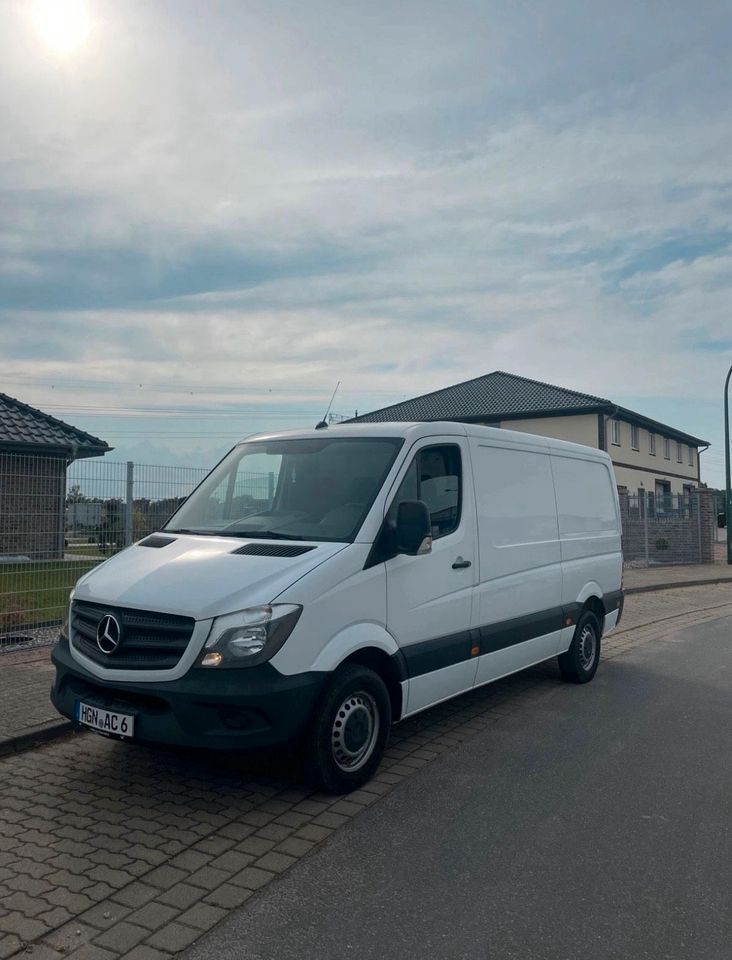 Mercedes Sprinter 214 CDI, Kastenwagen – Transporter mieten bei Apollo Cars Hagenow
